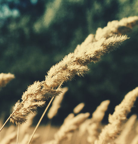 助您决胜市场的云呼死你官网